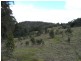327 Lake Barrington Road, Wilmot TAS 7310