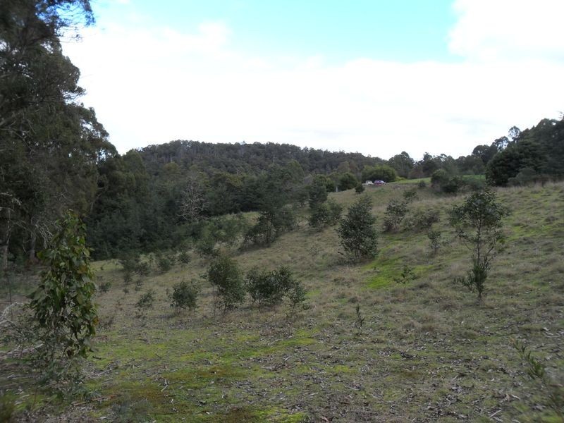 327 Lake Barrington Road, Wilmot TAS 7310
