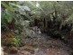 327 Lake Barrington Road, Wilmot TAS 7310