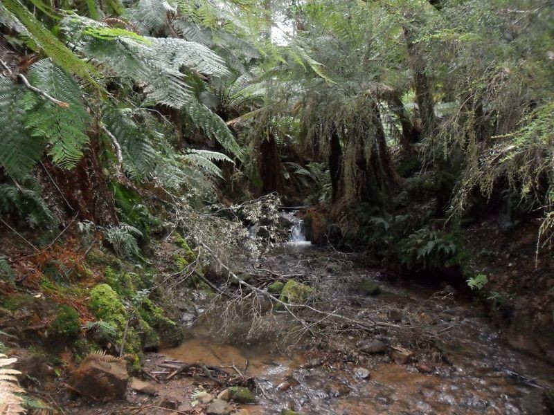 327 Lake Barrington Road, Wilmot TAS 7310