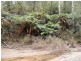 327 Lake Barrington Road, Wilmot TAS 7310