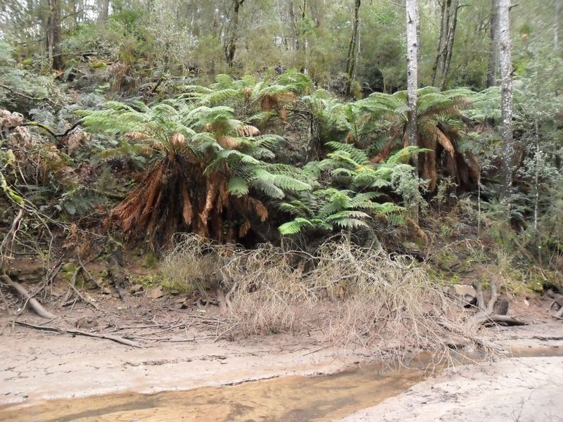 327 Lake Barrington Road, Wilmot TAS 7310