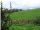 869 Railton Road, Kimberley TAS 7304