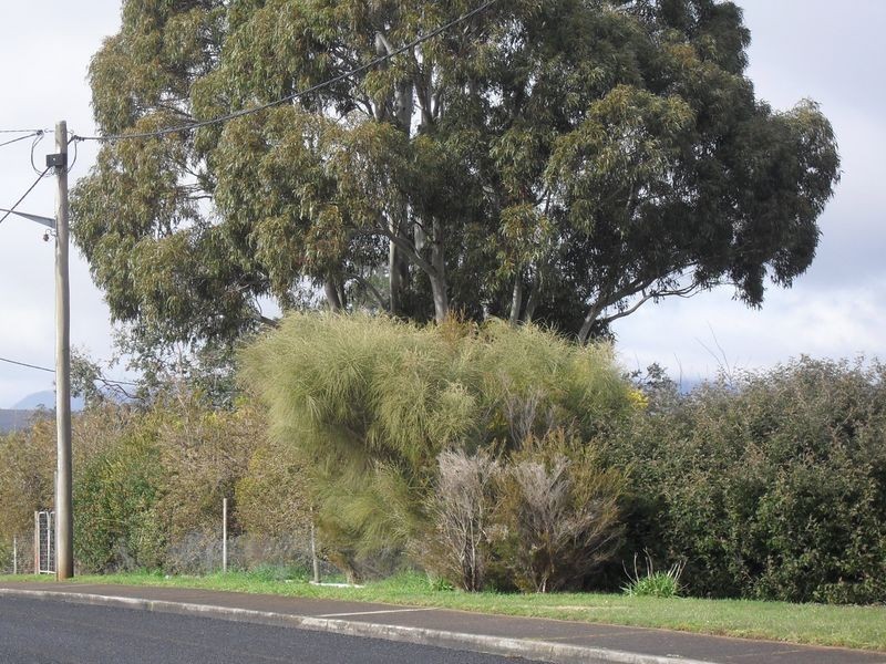 35 Roland Court, Sheffield TAS 7306