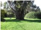 35 Roland Court, Sheffield TAS 7306