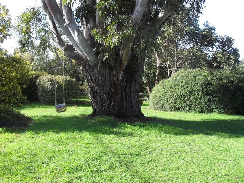 35 Roland Court, Sheffield TAS 7306