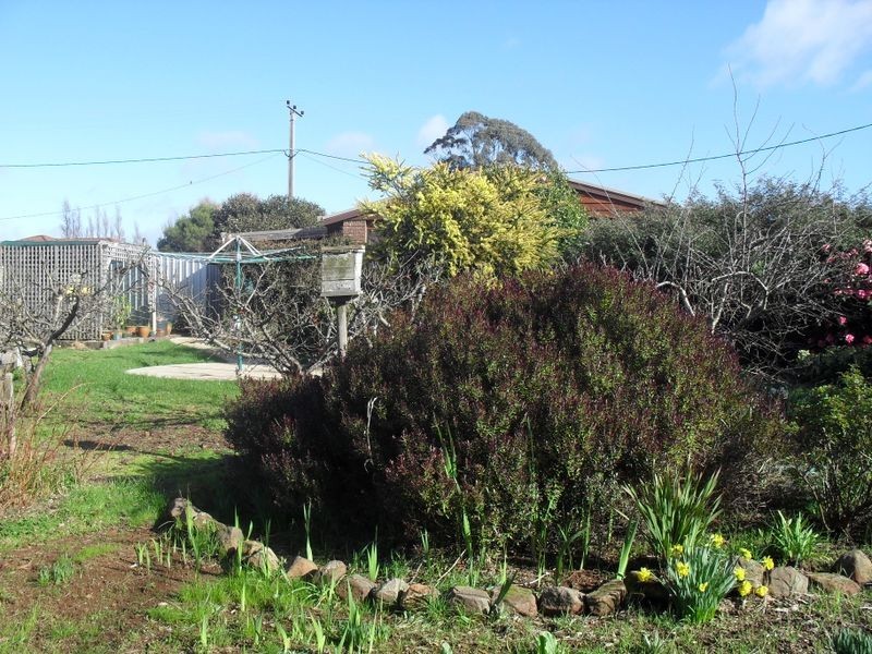 35 Roland Court, Sheffield TAS 7306