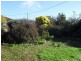 35 Roland Court, Sheffield TAS 7306