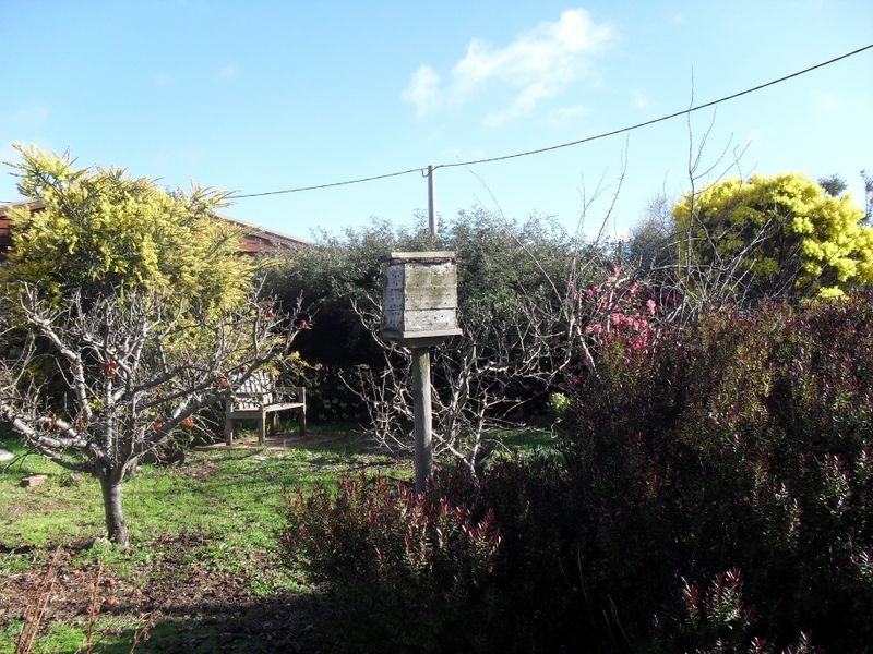 35 Roland Court, Sheffield TAS 7306