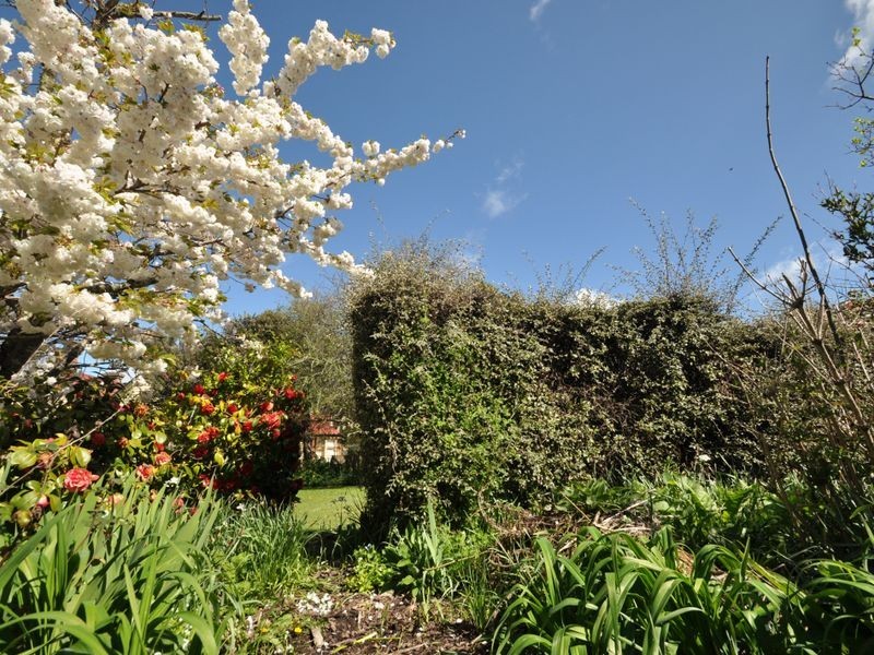 30 Bradshaw Street, Latrobe TAS 7307