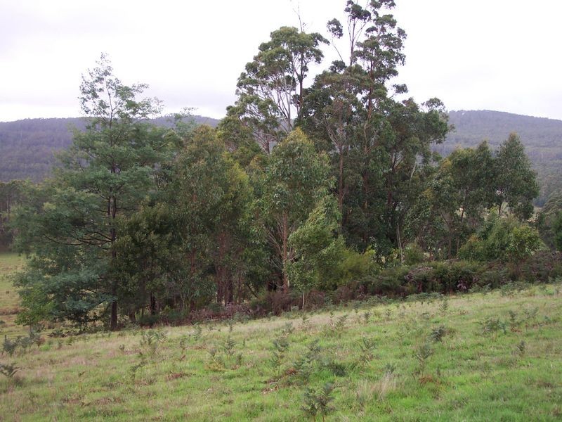 42 Lakeside Drive, Acacia Hills TAS 7306