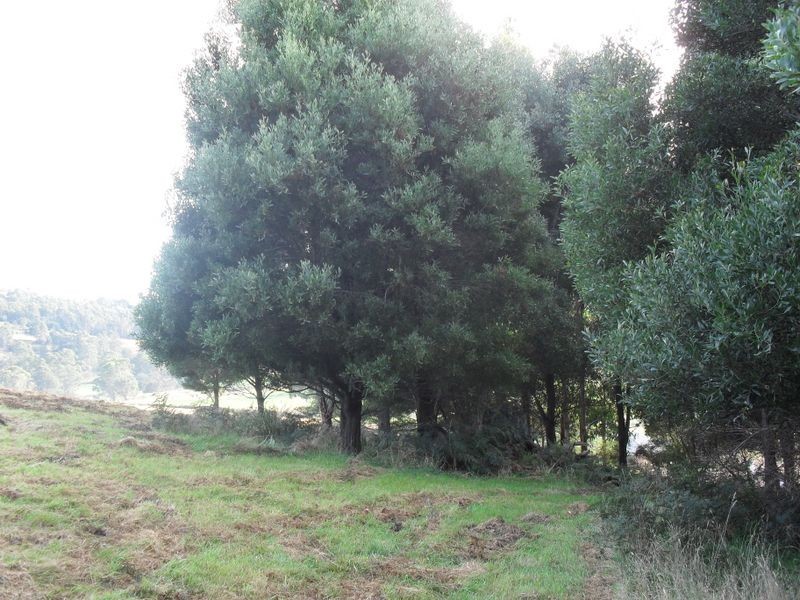 42 Lakeside Drive, Acacia Hills TAS 7306