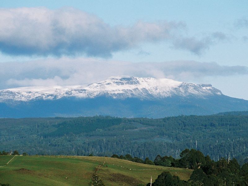 2228 Wilmot Road, Lower Wilmot TAS 7310