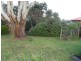 33-35 Roland Court, Sheffield TAS 7306