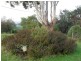 33-35 Roland Court, Sheffield TAS 7306