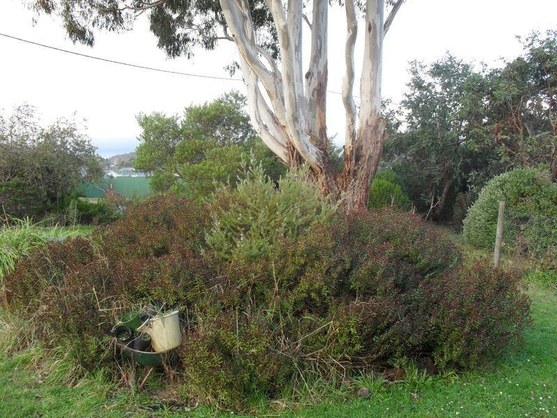 33-35 Roland Court, Sheffield TAS 7306