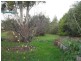 33-35 Roland Court, Sheffield TAS 7306