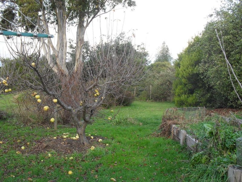 33-35 Roland Court, Sheffield TAS 7306