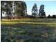 Lot 3 Annie Place, Sheffield TAS 7306