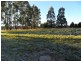 Lot 3 Annie Place, Sheffield TAS 7306
