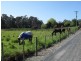 79-83 Mersey Main Road, Spreyton TAS 7310