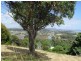 44 Braddons Lookout, Leith TAS 7315