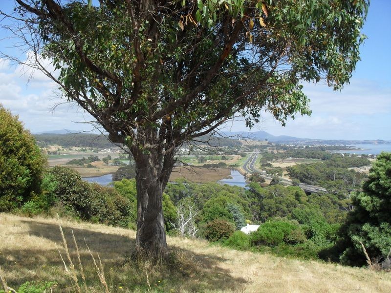 44 Braddons Lookout, Leith TAS 7315