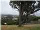 44 Braddons Lookout, Leith TAS 7315