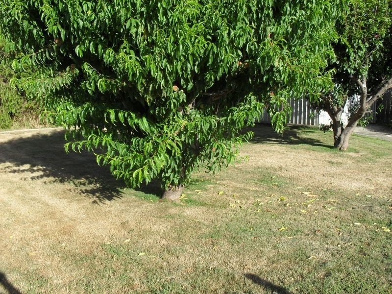 27 Highfield Road, Ambleside TAS 7310