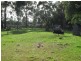 12 Crocker Street, Railton TAS 7305