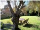 37 Highfield Road Ambleside, Devonport TAS 7310