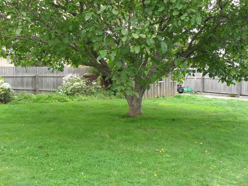 11 Frond Place, Devonport TAS 7310