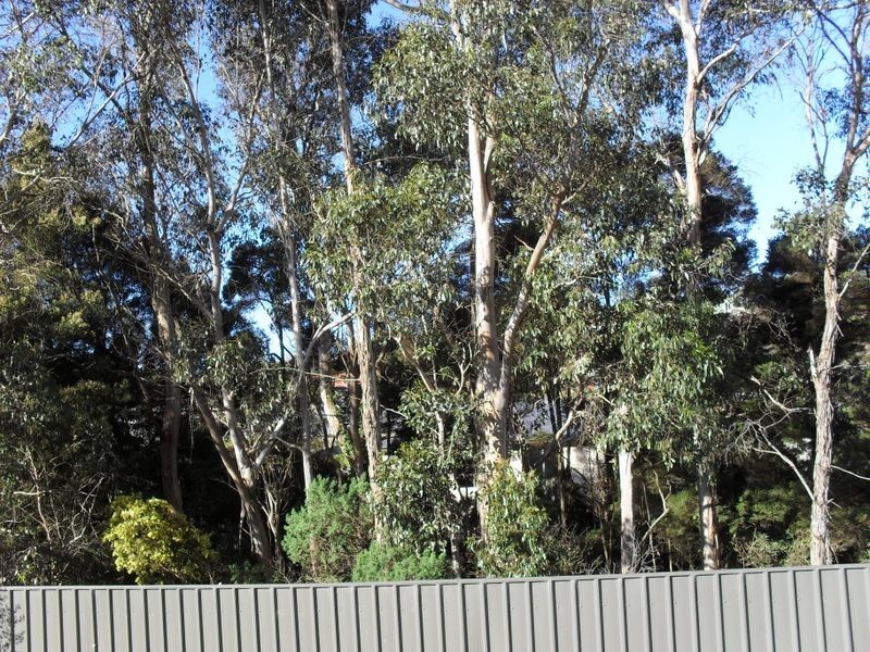 5 Cornelia Place, Don TAS 7310