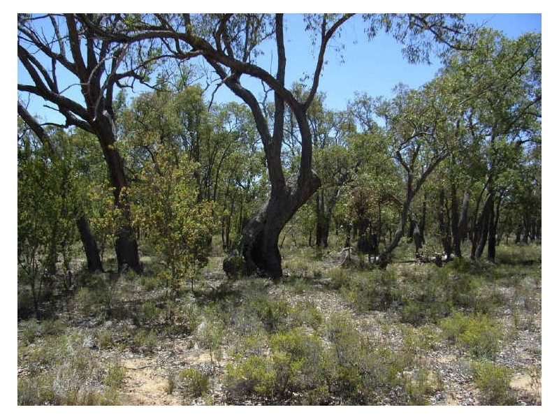 Lot 16 Keating Road, Toodyay WA 6566