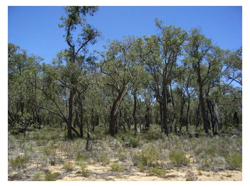 Lot 16 Keating Road, Toodyay WA 6566