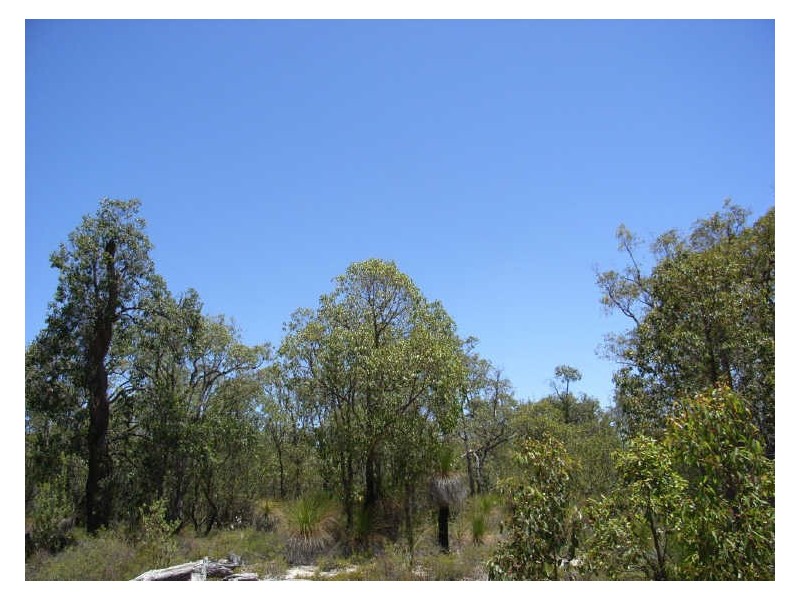 Lot 16 Keating Road, Toodyay WA 6566