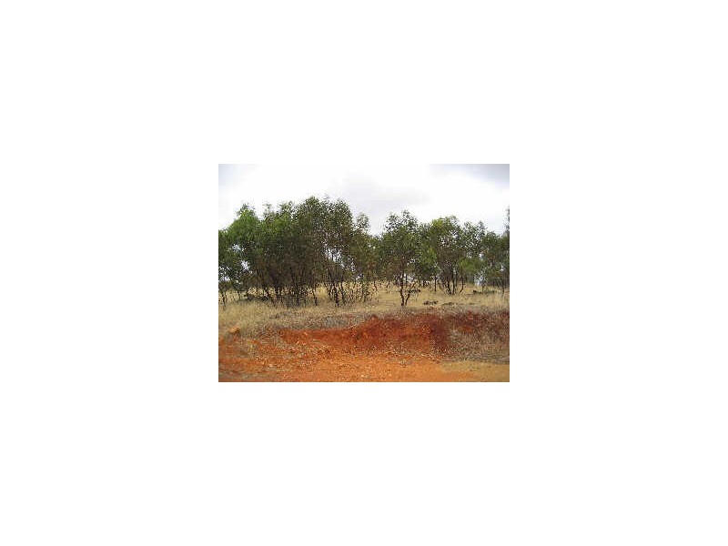 Toodyay WA 6566