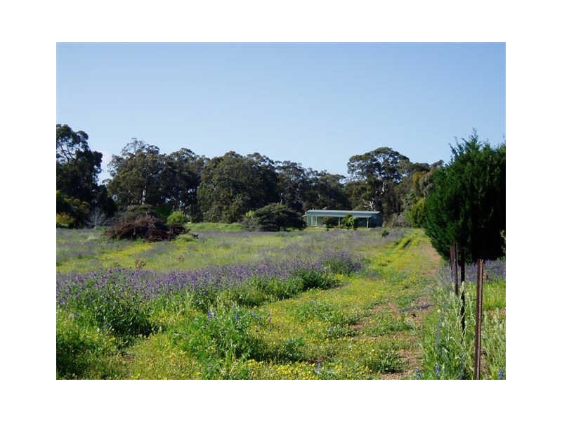 220 (Lot 1 Howard Road, Toodyay WA 6566