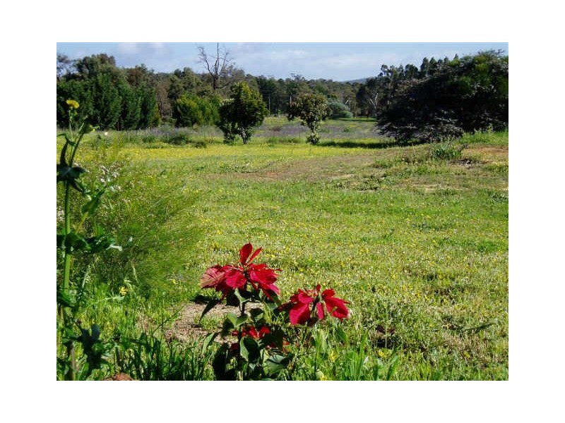 220 (Lot 1 Howard Road, Toodyay WA 6566