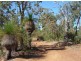 Morangup WA 6083