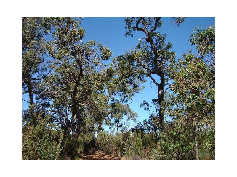 Morangup WA 6083