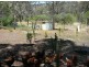 Toodyay WA 6566