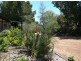 Toodyay WA 6566