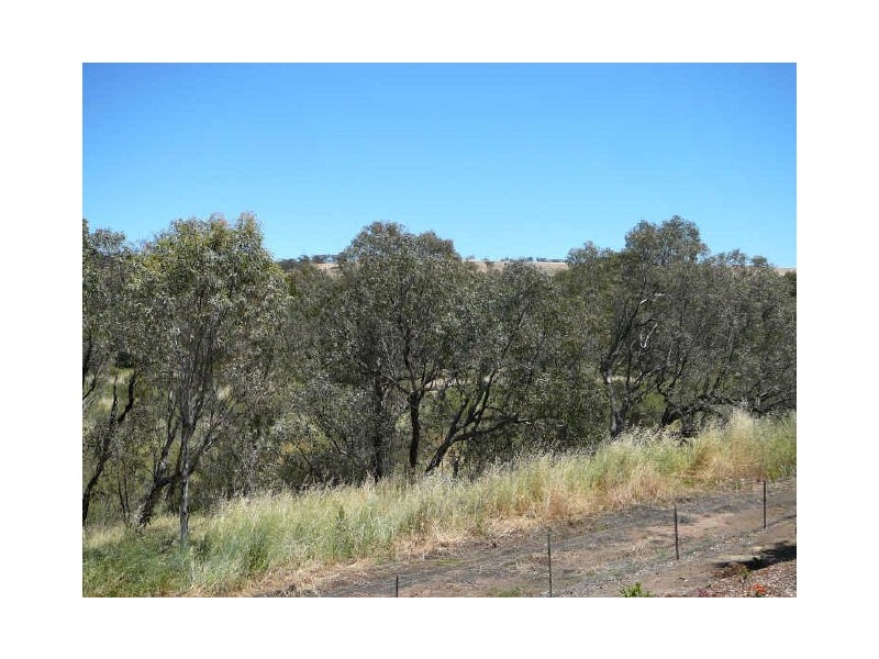 Toodyay WA 6566
