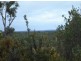 Morangup WA 6083