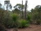 Morangup WA 6083