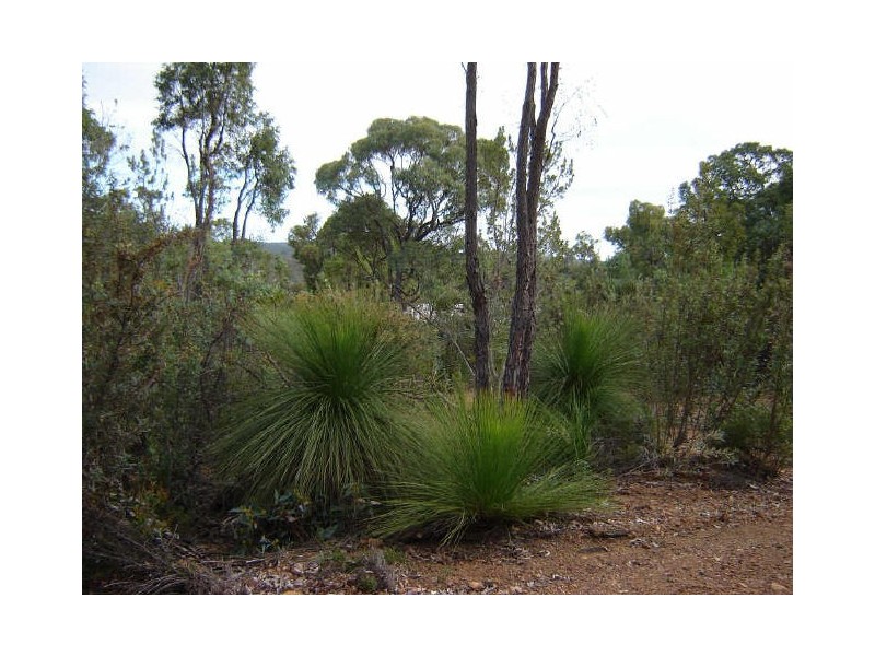 Morangup WA 6083