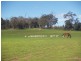 Toodyay WA 6566