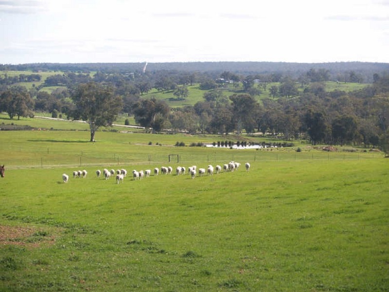 Toodyay WA 6566