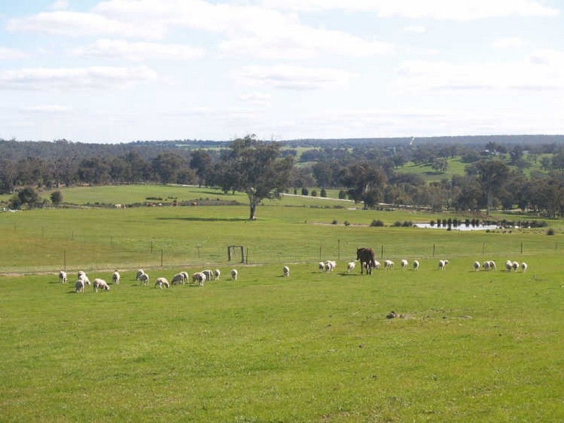 Toodyay WA 6566